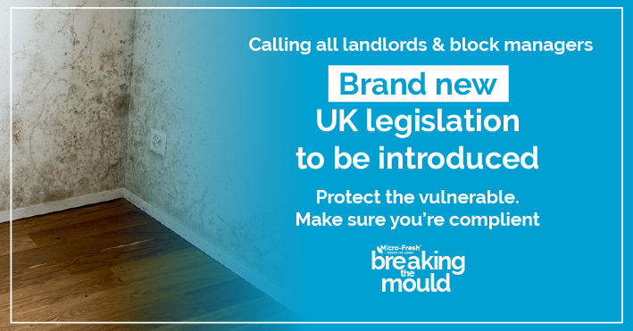A forthcoming UK legislation draft, emphasizing the safeguarding of mould in homes through legal measures