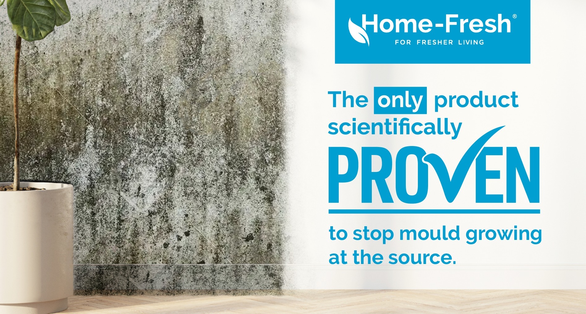 "Home Fresh: Scientifically proven solution to halt mold and its growth at the source, ensuring a mold-free environment."
