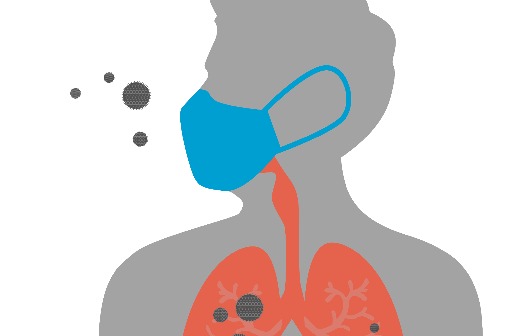 Diagram of person protected from breathing in bacteria